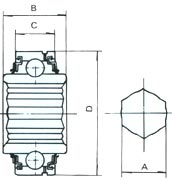 18.jpg (6235 �ֽ�)